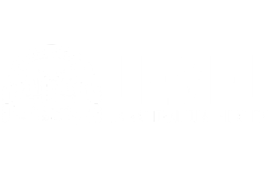 https://lecturers.ch/wp-content/uploads/2024/11/level-uk.png